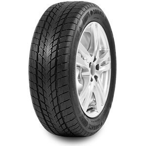 Pneu 195/60 R15 88H Davanti Wintoura