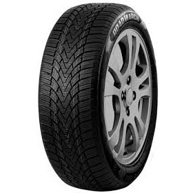 Pneu 215/65 R16 98T Roadmarch WINTER XPRO 888 XL BSW