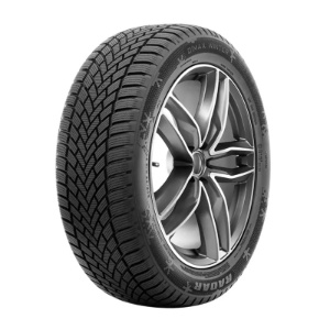 Pneu 165/65 R14 79T Radar DIMAX WINTER