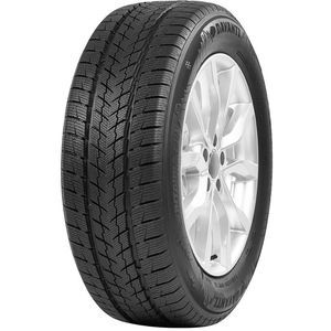 Pneu 225/65 R17 106H Davanti Wintoura SUV