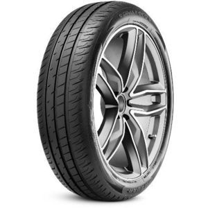 Pneu 195/55 R20 95H Radar DIMAX ECO